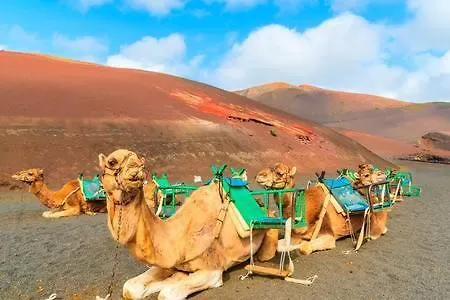 Lejlighed The Colors House, 226 - Private *