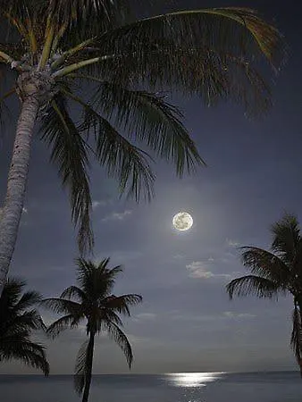 The Colors House, 226 - Private Lejlighed