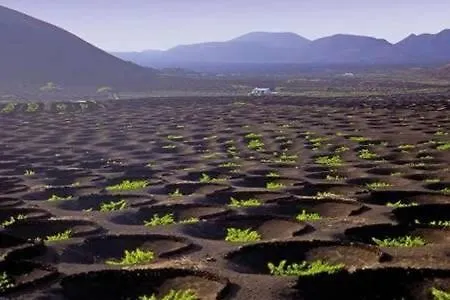 Lejlighed The Colors House, 226 - Private Costa Teguise