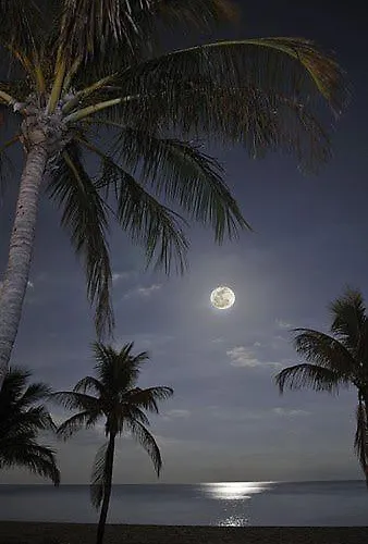 The Colors House, 226 - Private アパート